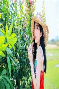 彩虹已陌知乎小说