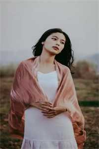 今天少夫人和离了吗？