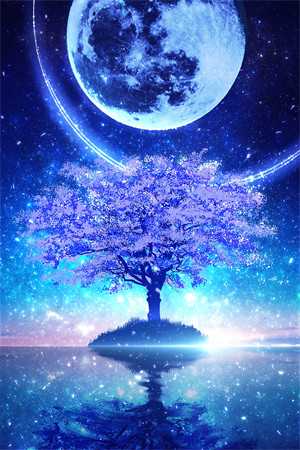 不定期星空银炽小说全文免费阅读