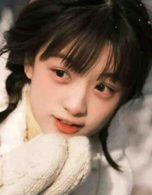 傅总又在求夫人复婚了