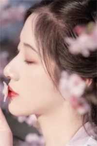凤舞帝影