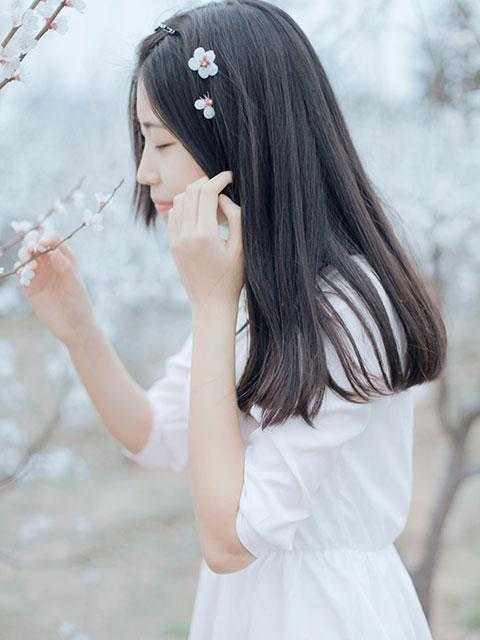 魏文砚安曦?距离他离开安曦?魏文砚完结版小说
