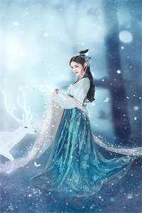 重生后，渣总每天跪求我复婚