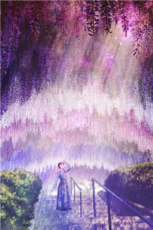 陈淮夏晴小说免费阅读