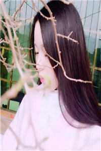 李伟郑妤免费阅读