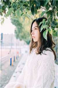 沈星辰白苏