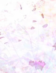古墓录：三年之后