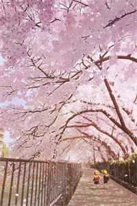 梅花鬼剑录