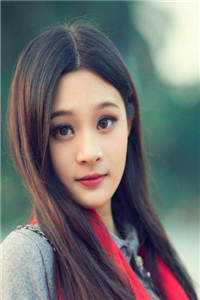 傻婿