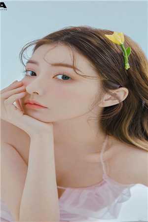 我的绝色前妻