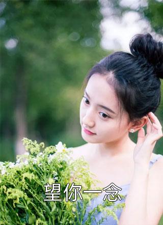 位居省委，开局被妻子举报苏玉黎锦