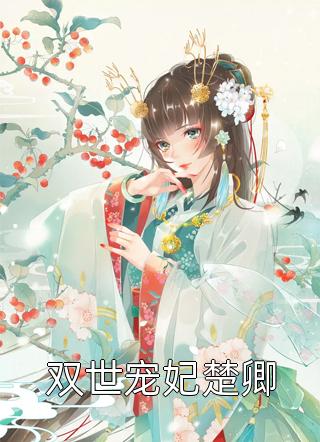 上门龙婿&amp;amp;#160;叶辰&amp;amp;#160;小说