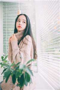 沈青秦蓉