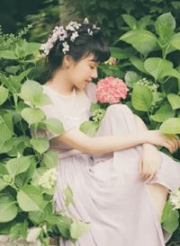 寻光记