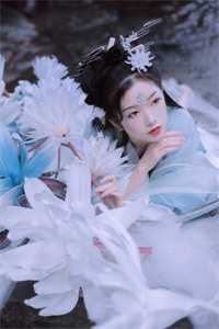 总统谋妻:婚不由你沈清溪