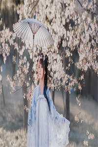 求婚前，炮灰女主撕了剧本