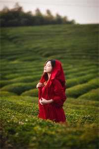 李景明杨丽娜