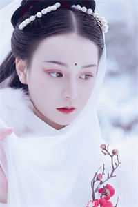 沈希霍子琛全文免费
