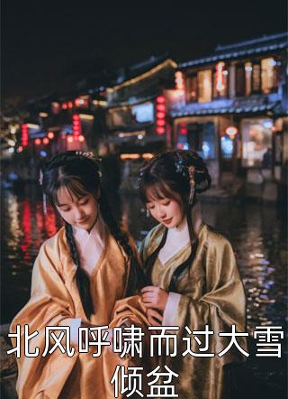 与美女总裁荒岛求生