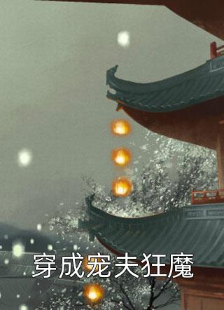 陈律师的追妻作战