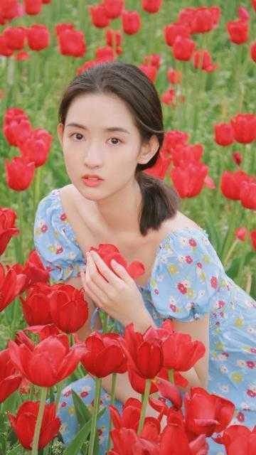 杏血劫