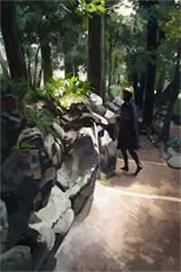 未婚夫逼我嫁公鸡，我转嫁成王妃