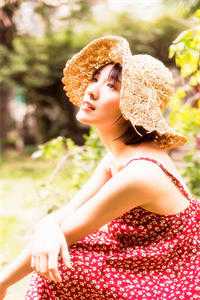 一世豪婿叶凡