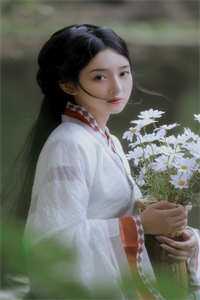 四合院：开局从办事员开始