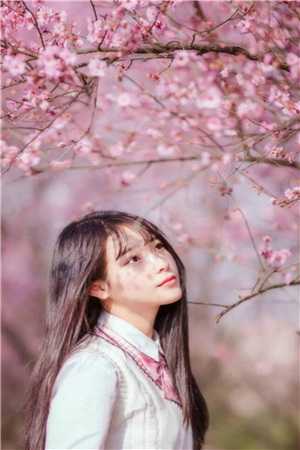 我重生到了1998年