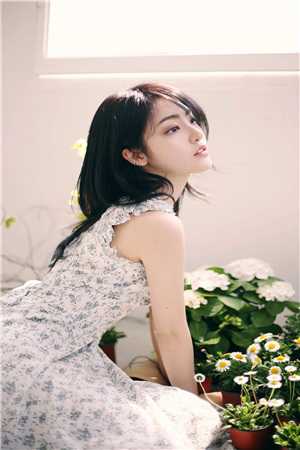 晚风吹尽海棠花