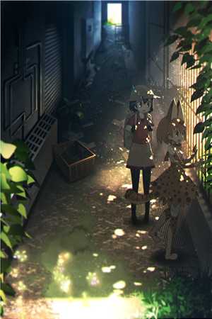 完美囚笼—婚姻