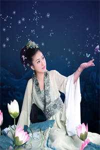 大明神探1546