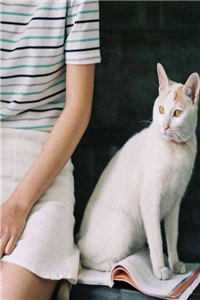 不孝女