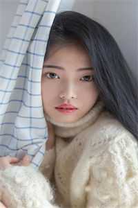 情难回退