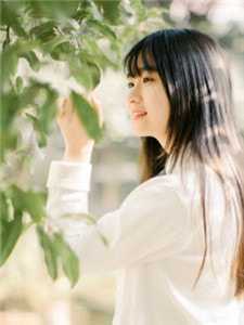 顾总，全世界都在等你离婚