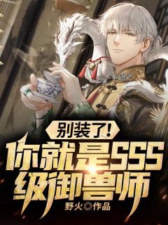小说纠缠后放手司年