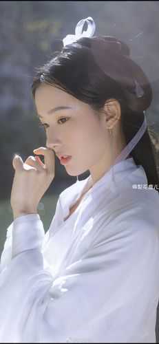 真假女孩最新小说